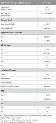 Molecular classification of endometrial cancer: preliminary experience from a single Portuguese academic center